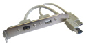USB 2.0 6 Pin Firewire Faceplate
