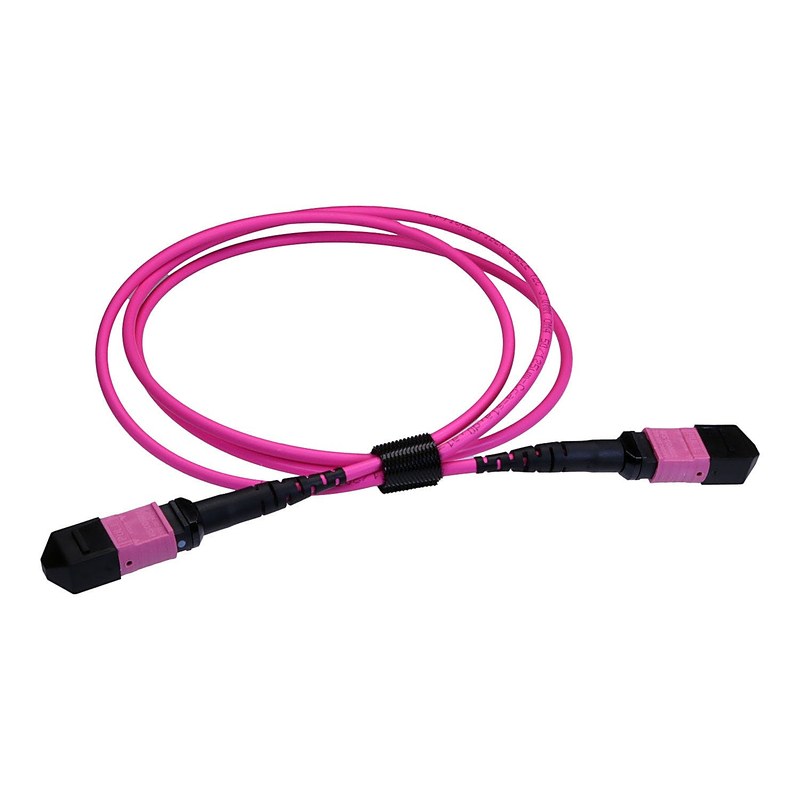 OM4 MPO 12 Fibre Trunk Cable, 2m, Erika Violet