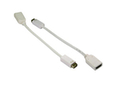Mini DVI (M) to HDMI (F) Leaded Adapter