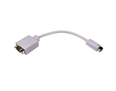 Mini DVI (M) to SVGA (F) Leaded Adapter
