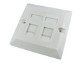 2 Port Cat5e Loaded Faceplate - Single Gang