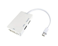 Mini DisplayPort to HDMI, DVI, DP Leaded Adapter