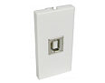 USB Socket Faceplate Module Type B Female Euromod Wall Plate Module